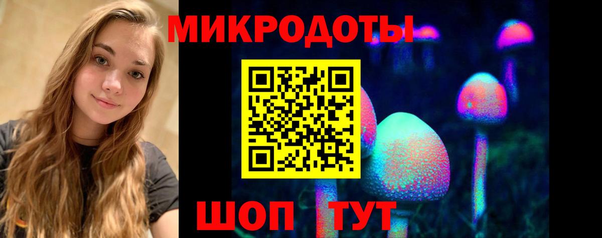 Фролово  купить   Вход с VPN  Псилоцибиновые грибы Psilocybine cubensis 